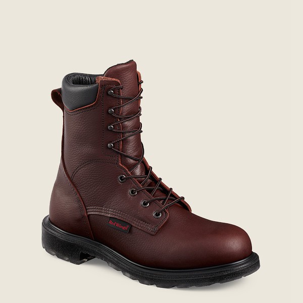 Mens Red Wing Supersole® 2.0 - 8-inch Toe - Safety Boots Burgundy - YNI532087